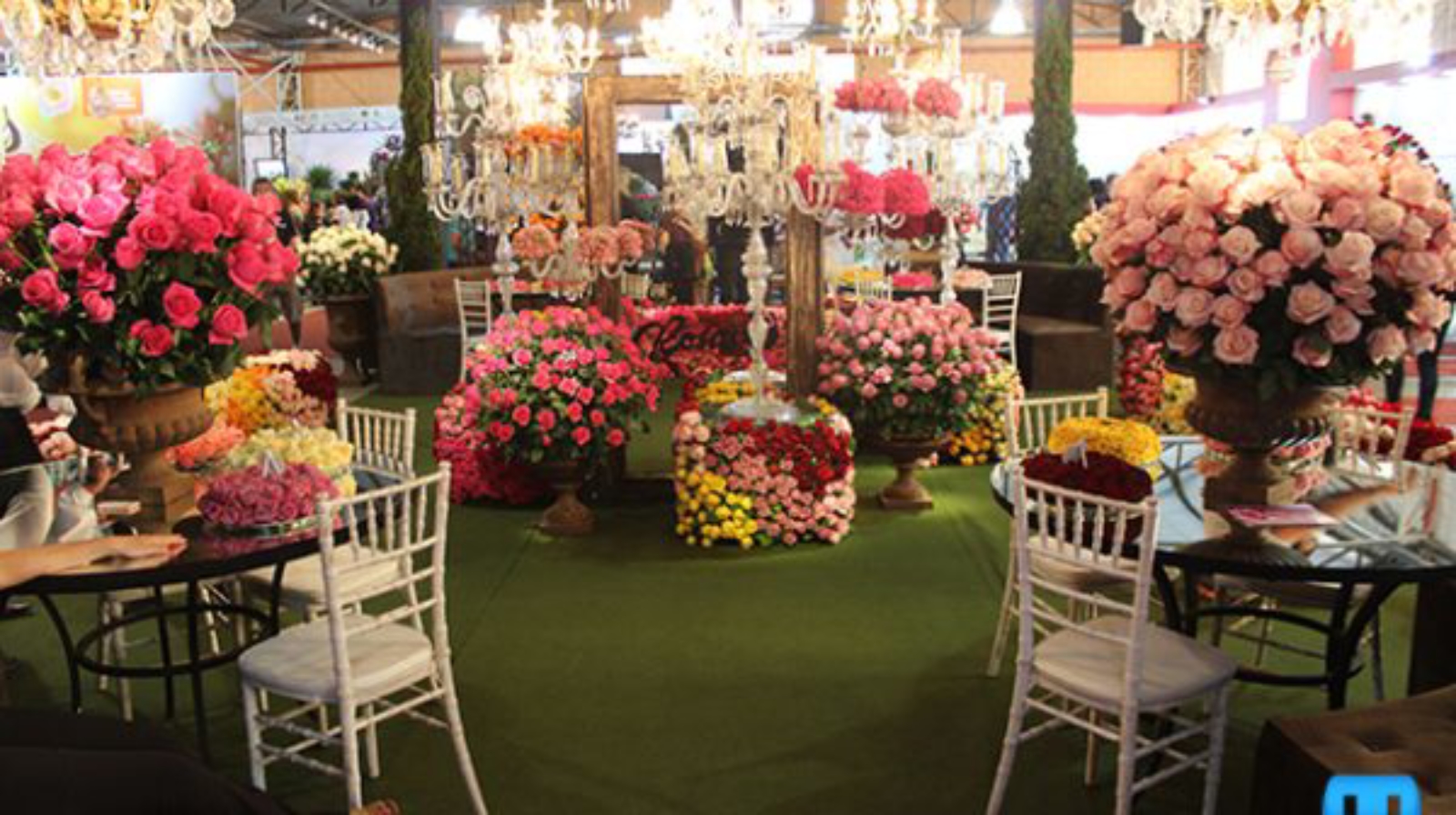 enflor holambra