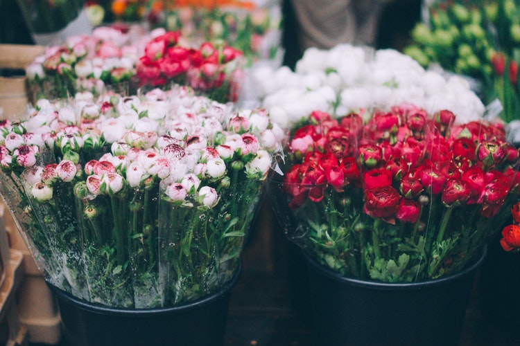 confira opções de flores para formatura