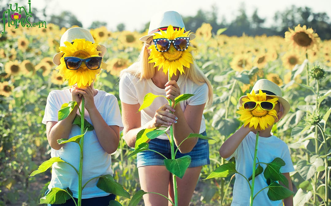 Dia dos Irmãos: Comemore Com Flores