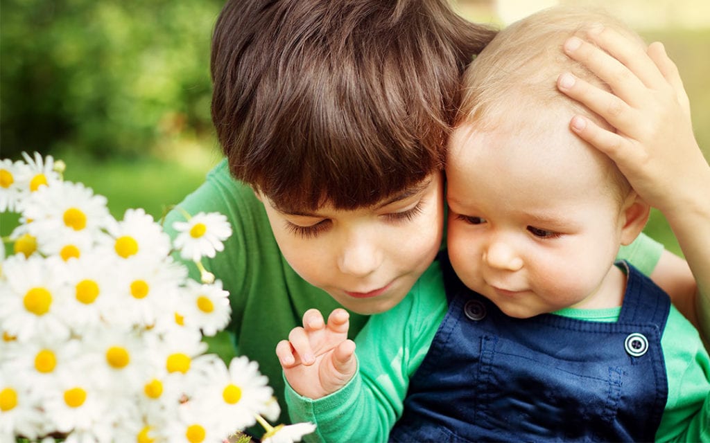 Dia dos Irmãos: Comemore Com Flores