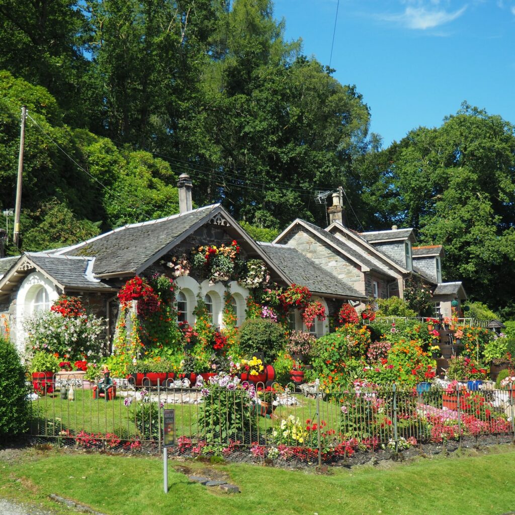 vários tipos de flores no jardim de uma casa