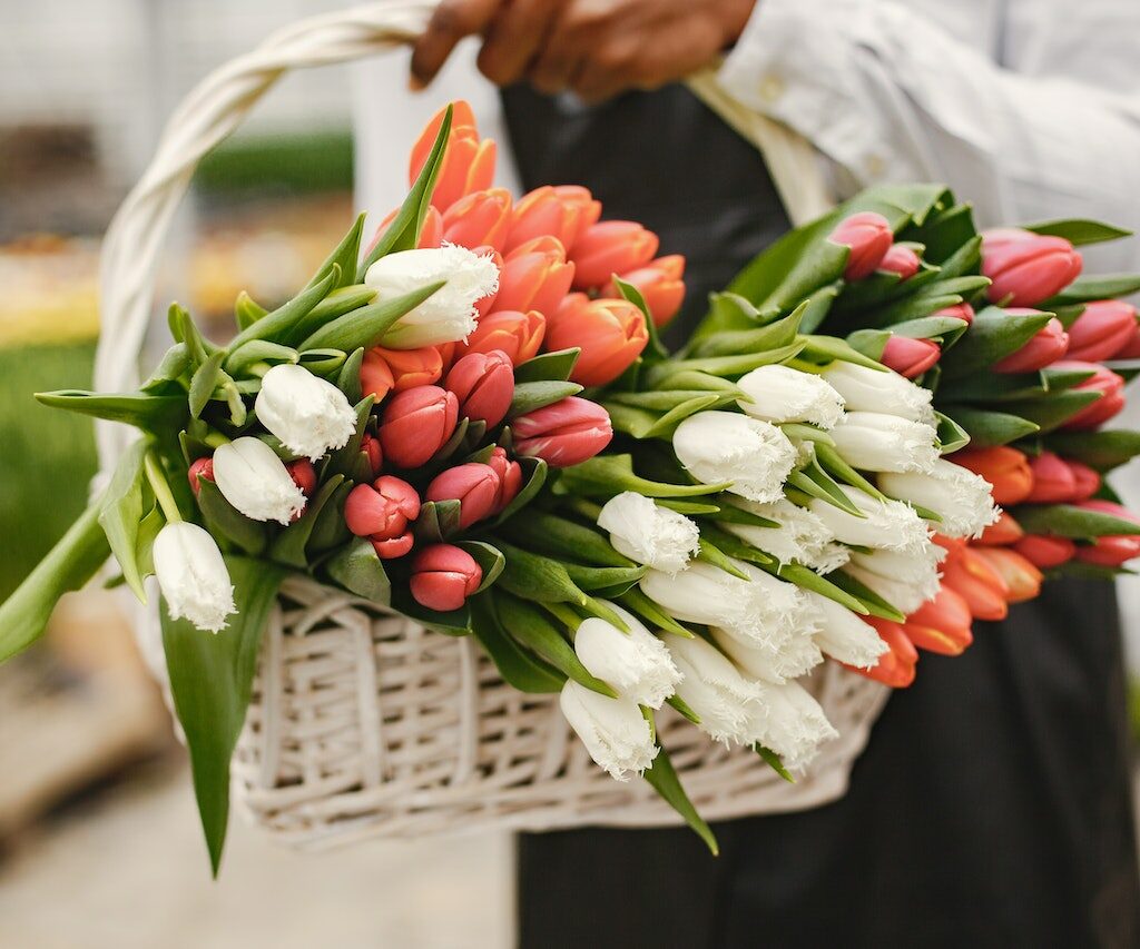 significados das flores variam de acordo com tipo