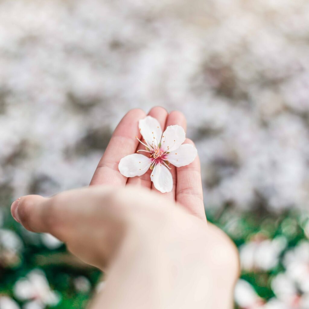 Foto de mão segurando flores