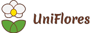 Blog Uniflores